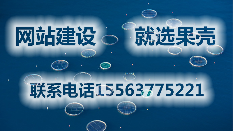 濟寧果殼科技網(wǎng)站建設(shè)公司